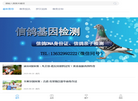 尊贵赛鸽网