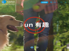 烟台中宠食品