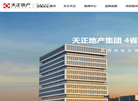 天正地产集团