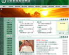 中财招商投资集团