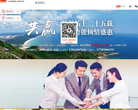 鲁能集团有限公司