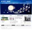 伟星股份
