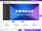 北京市东审财税科技