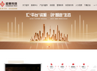 广东超华科技