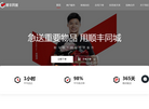 顺丰同城物流公司官网