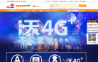 中国联通双4G专区
