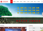 北京华舵企业顾问
