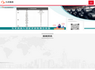 山东九羊集团