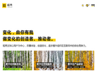 上海稻壳网络科技