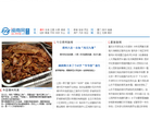 漳州新闻网