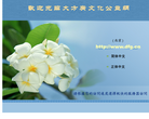 大方广