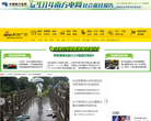 新浪广东