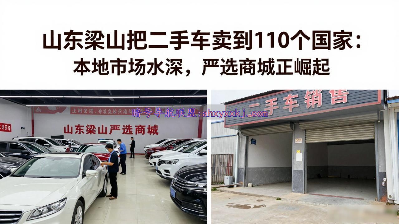 山东二手车欺诈维权难_山东梁山把二手车卖到了110个国家_二手车检测报告含糊合同埋雷