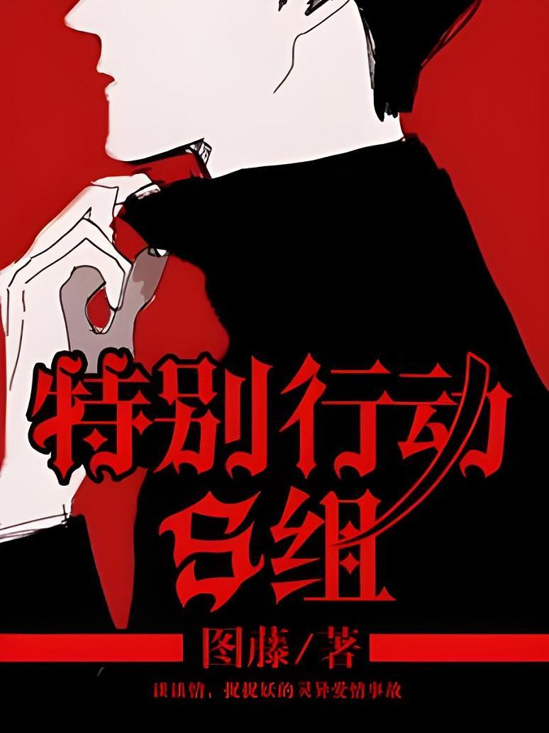 特别行动s组