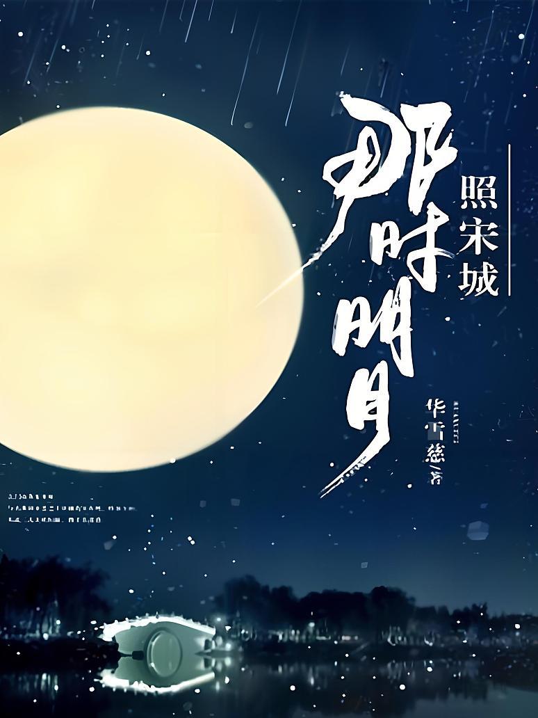 那时明月照宋城