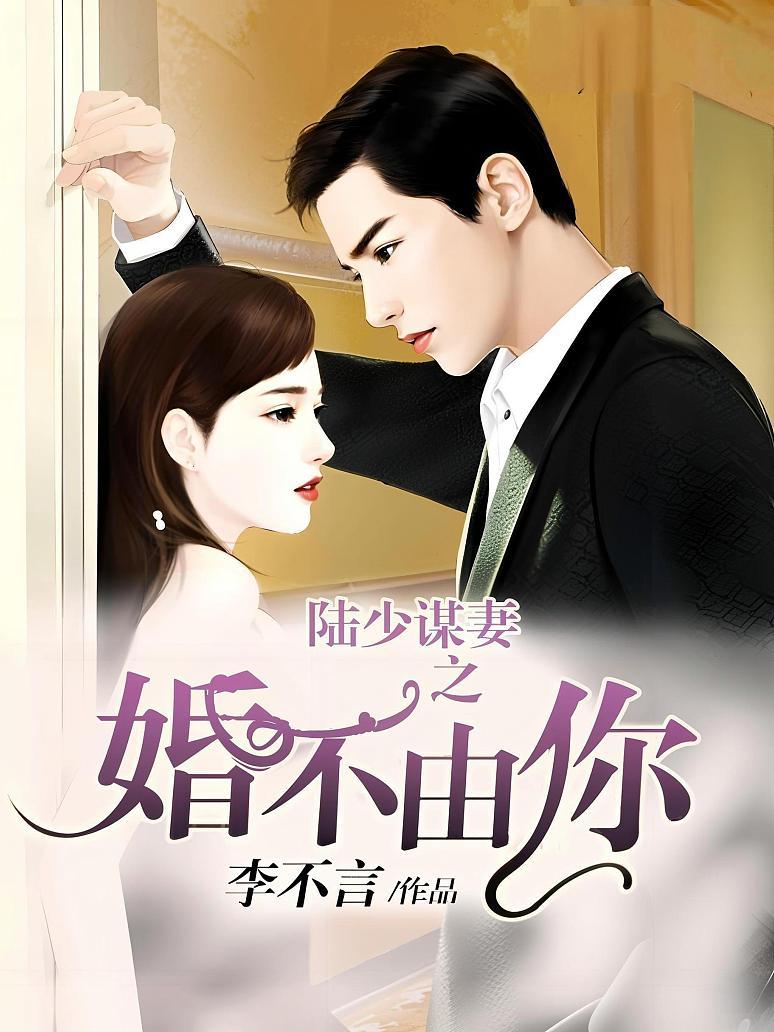陆少谋妻之婚不由你