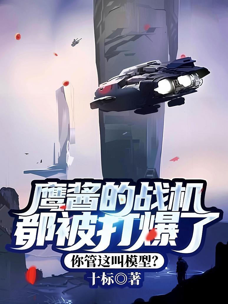 鹰酱的战机都被打爆了，你管这叫模型？