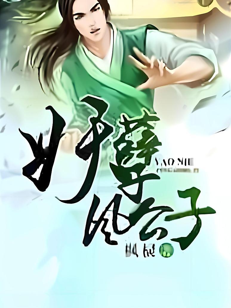 妖孽风公子