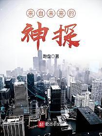 来自未来的神探