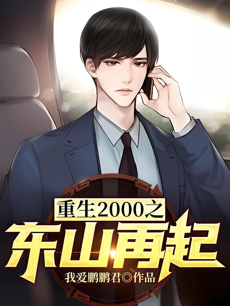 重生2000之东山再起