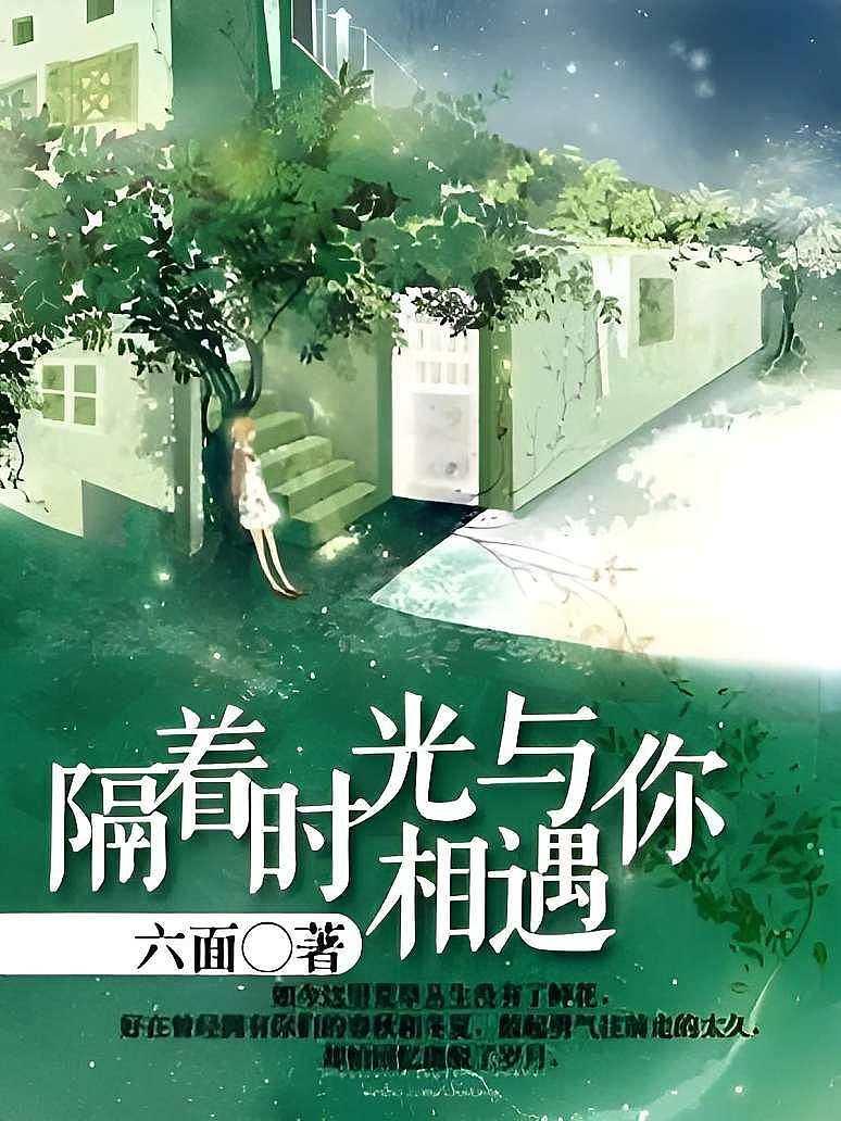隔着时光与你相遇