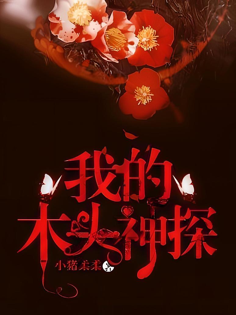 我的木头神探