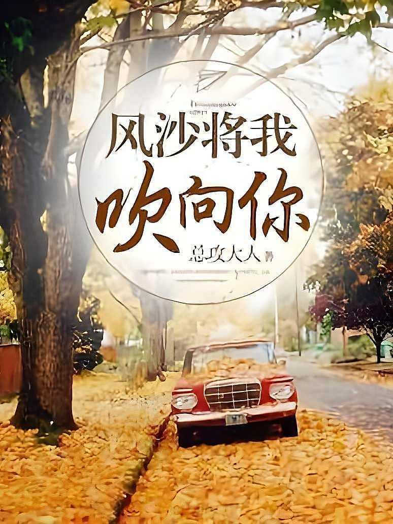 风沙将我吹向你
