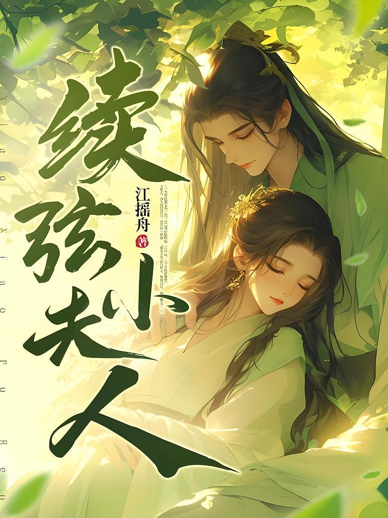 续弦小夫人