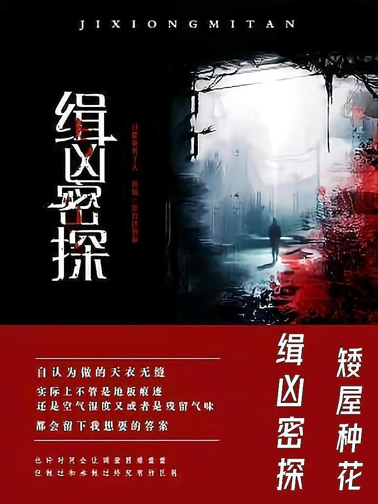 缉凶密探