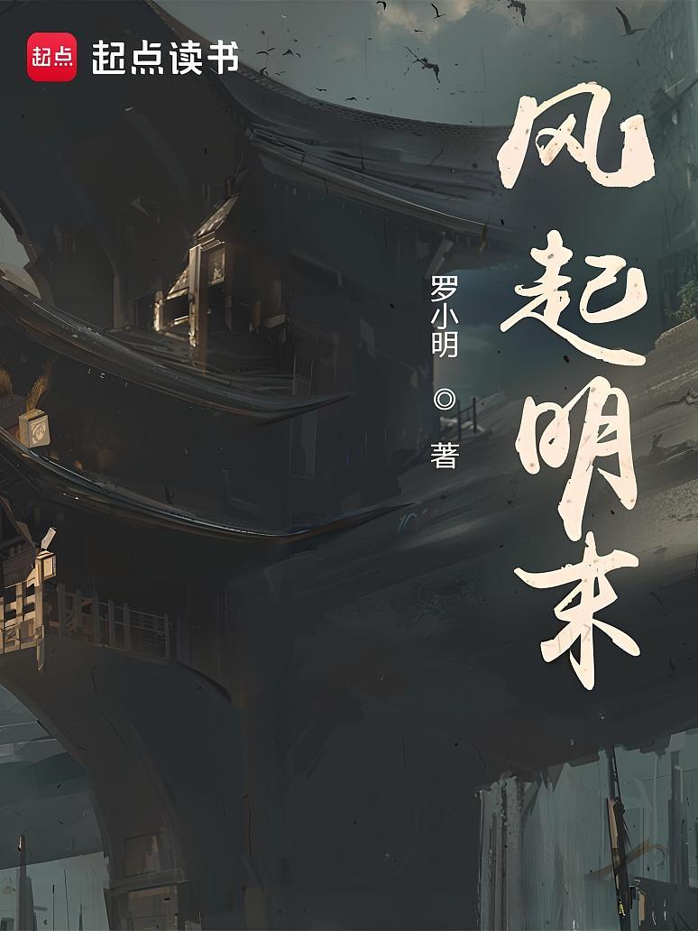 风起明末
