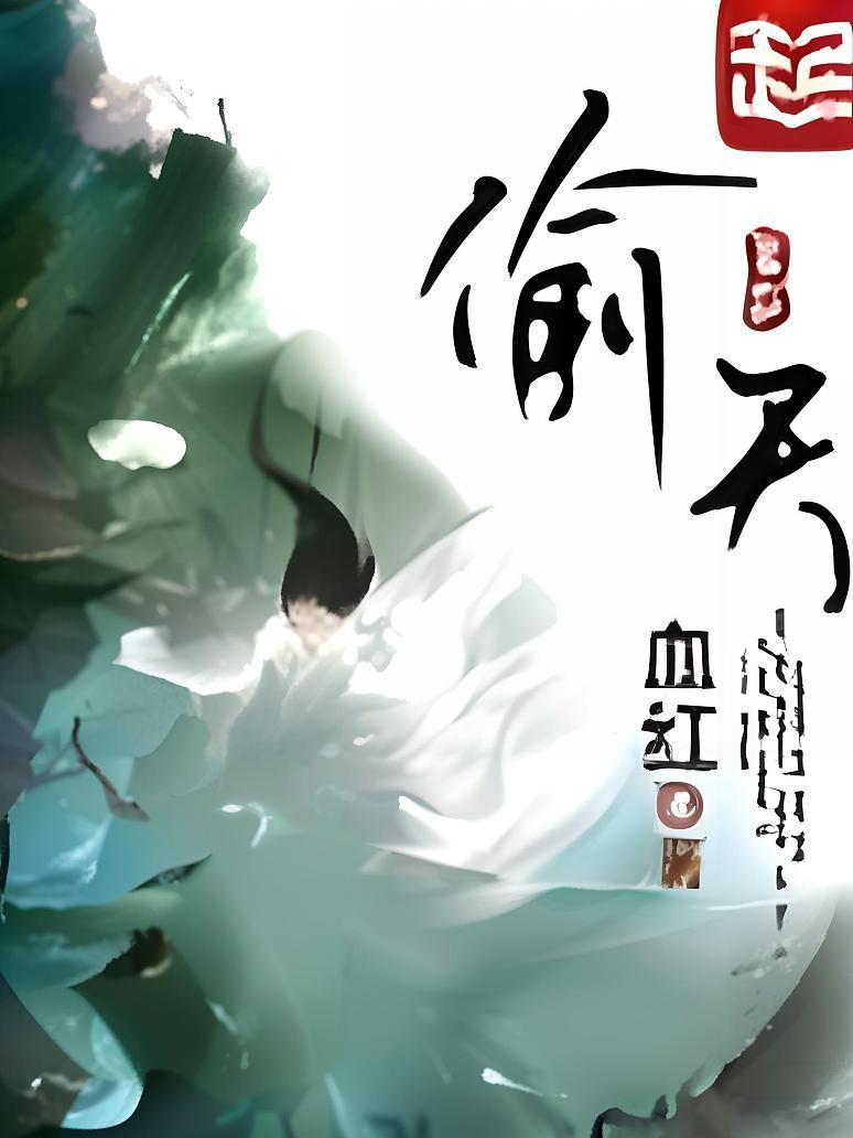 偷天