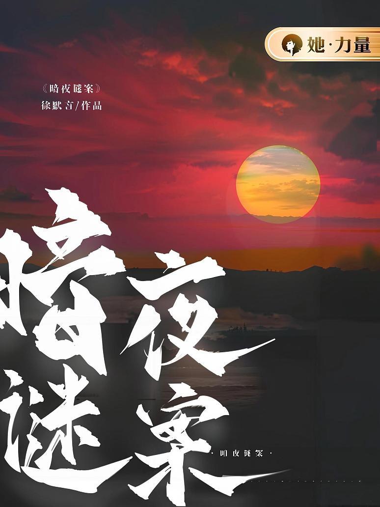 暗夜谜案