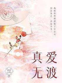 真爱无渡