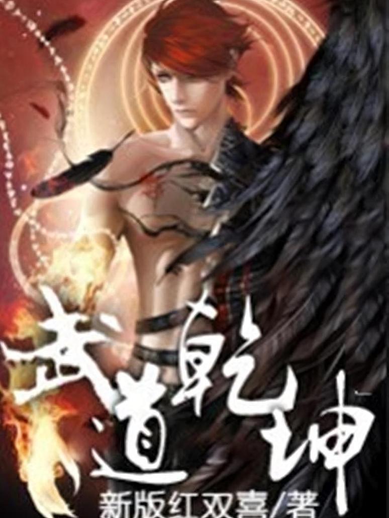 武道乾坤