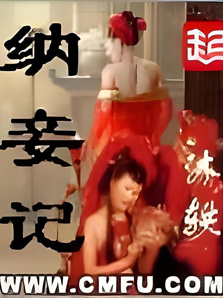 纳妾记