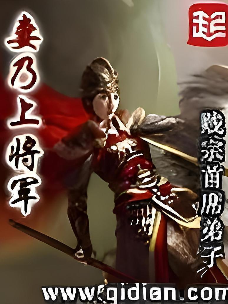 妻乃上将军