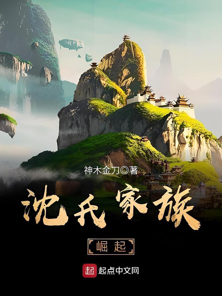 沈氏家族崛起