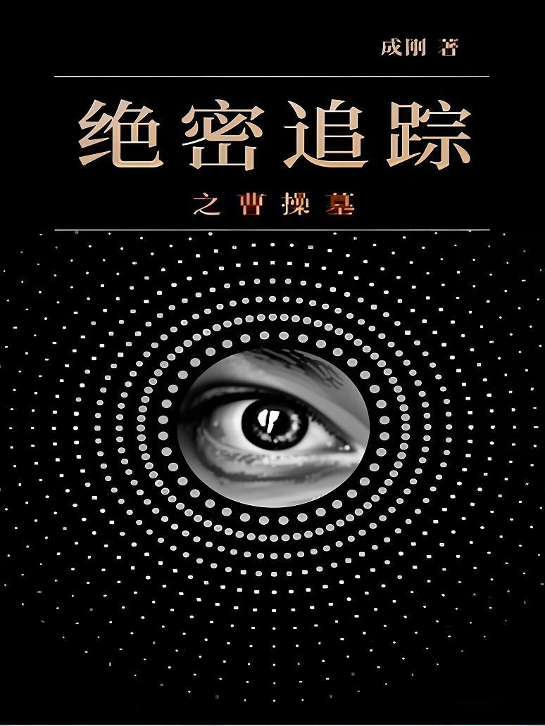绝密追踪之曹操墓