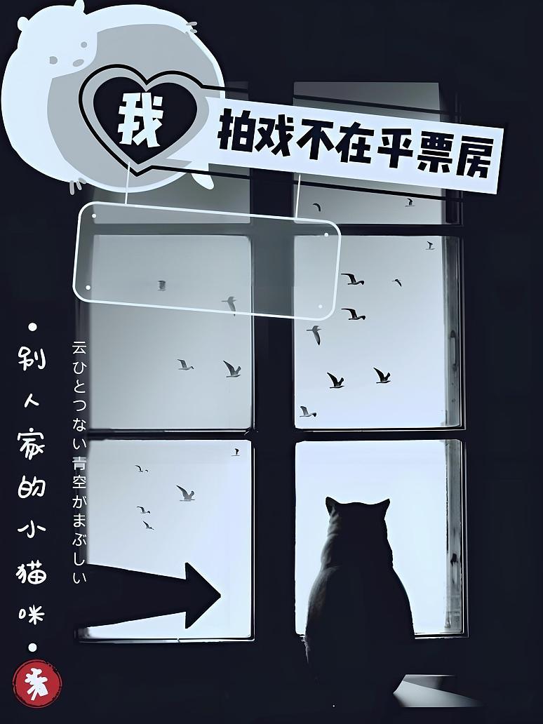 我拍戏不在乎票房