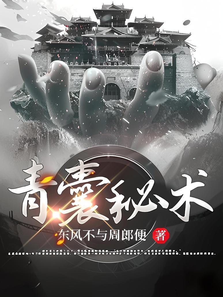 青囊秘术