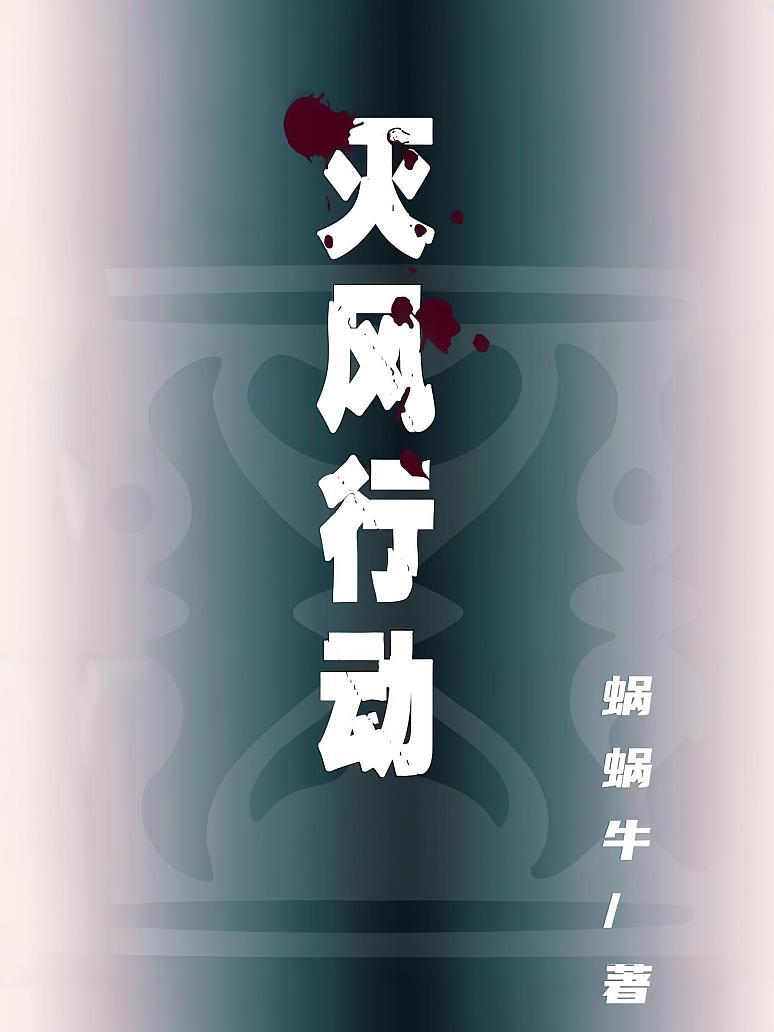 灭风行动