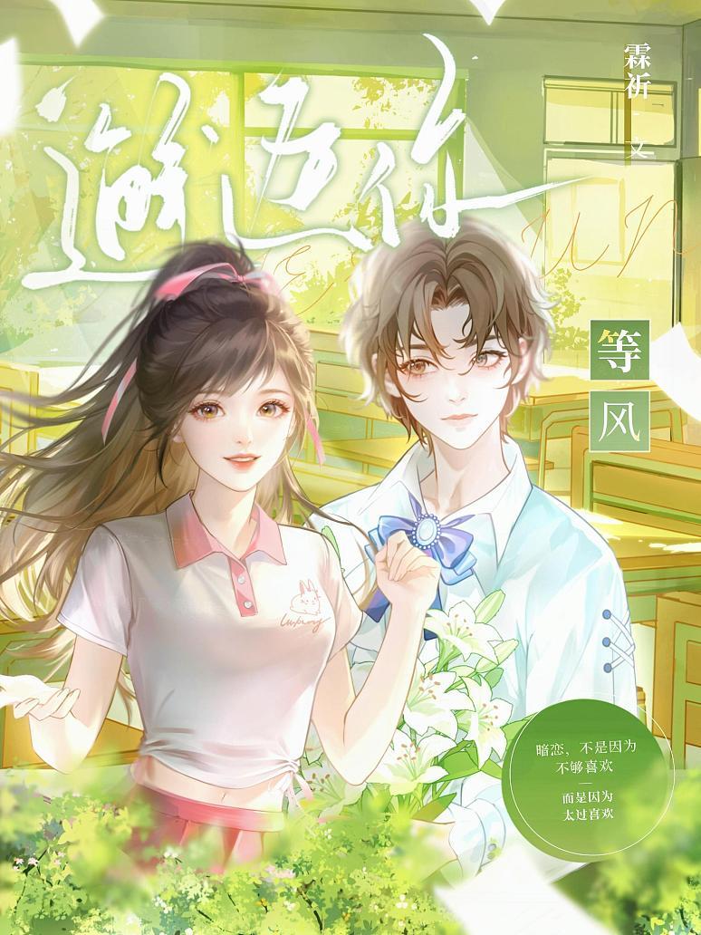等风邂逅你