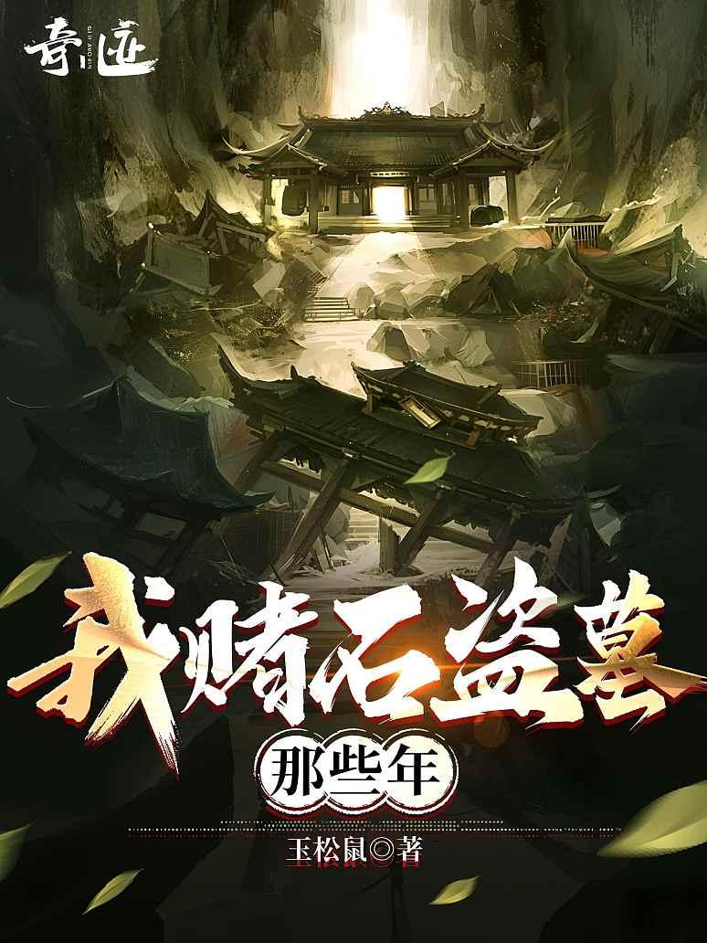 我赌石盗墓那些年